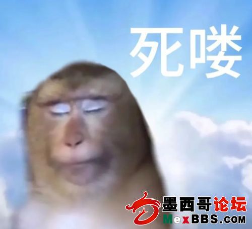 jpg.jpg