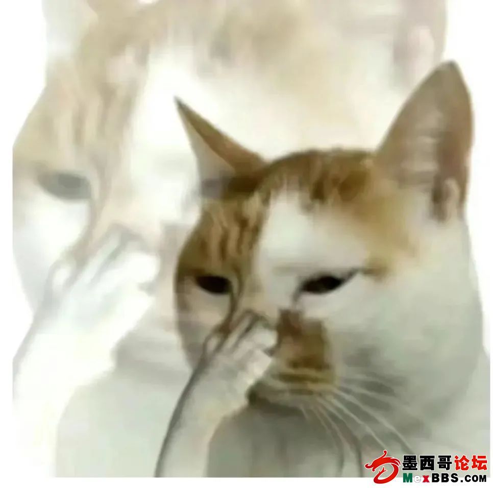 20250822074535272.jpg